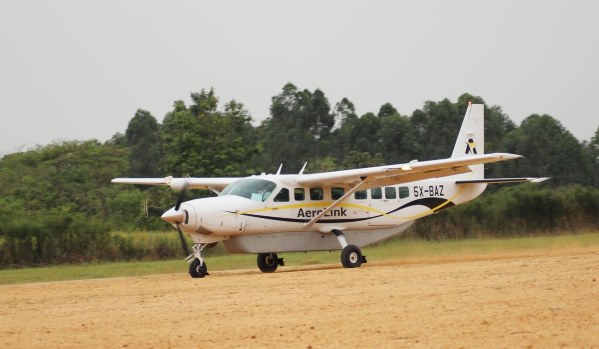 5 Days Flying Primate Tracking Uganda Safari