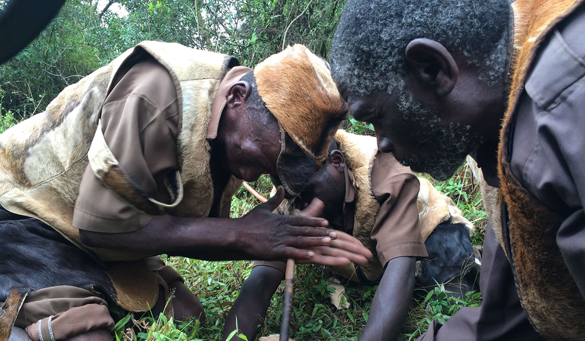 The Batwa Cultural Experience in Bwindi Forest
