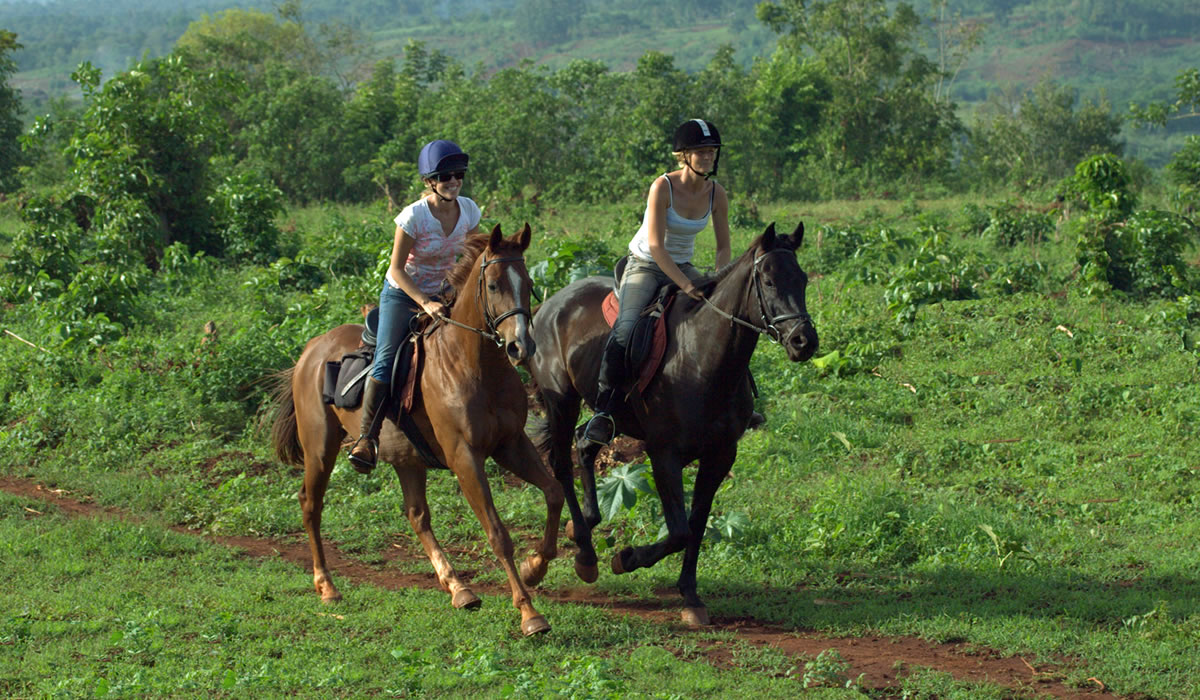 Horseback Riding in Lake Mburo National Park