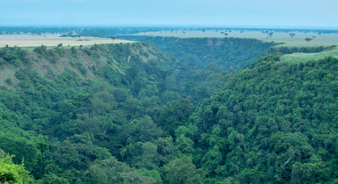 Kyambura Game Reserve